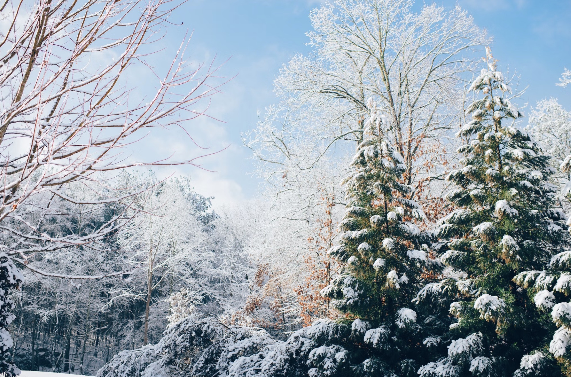 Winter is the Perfect Time To Waterproof Your Basement - StayDry